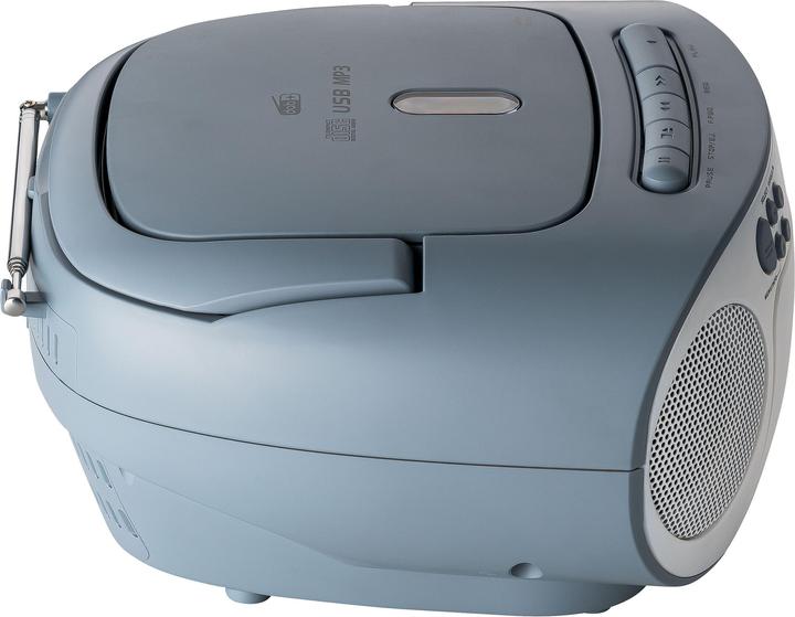 Actual product image Reflexion RCR2260DAB (DAB+, FM)