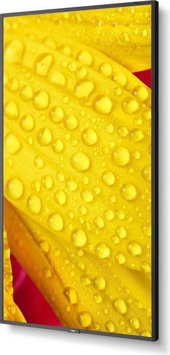 Produktbild Sharp M501-2 50IN UHD 500CD/QM (3840 x 2160 Pixel, 50")