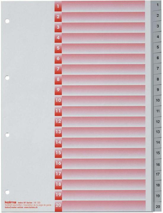 Actual product image Kolma Index A4 strong 1-20 20-piece grey