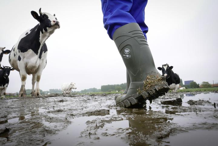 Immagine prodotto Kerbl Stivale di sicurezza S5 Bekina Steplite XCI Winter (S5, 37)