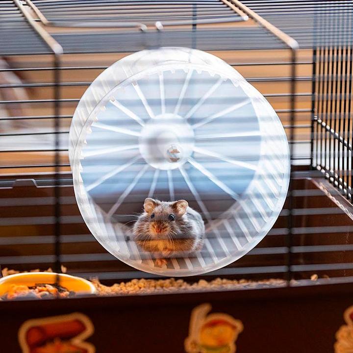 Produktbild Ferplast Hamster 9 Pirates - Narvas