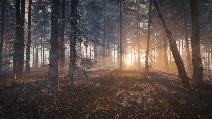 Produktbild THQ PS4 The Hunter Call of the Wild (PS4, FR, EN)