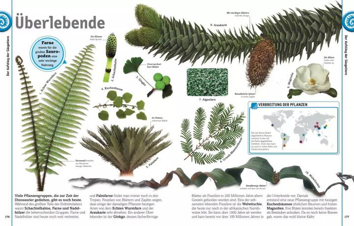 Image du produit Dinosaurier (Allemand, John Woodward, 2018)