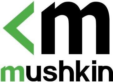 Produktbild Mushkin Element (4000 GB, 2.5")