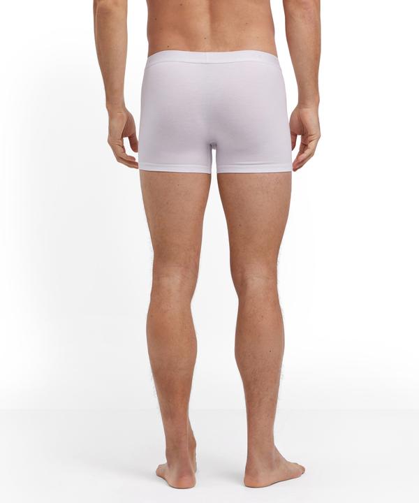Actual product image Falke Herren (XXL, Single pack)