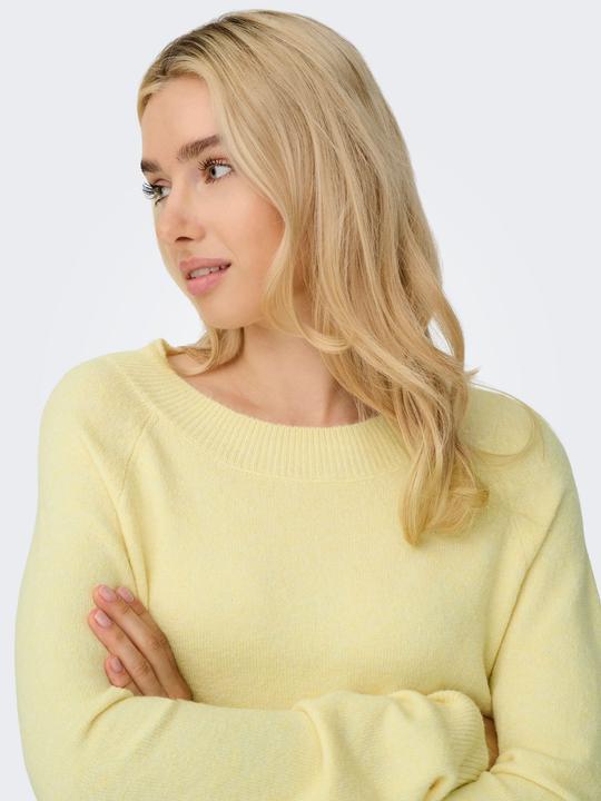 Actual product image Only ONLRICA Strickpullover Strickpullover (M)