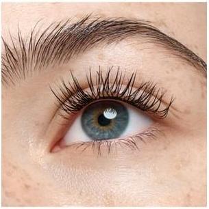 Image du produit Catrice Faked False Eyelashes with Glue Natural Cluster (Cils artificiels)
