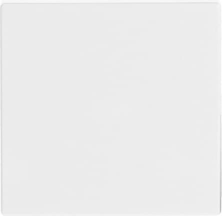 Image du produit Busch-Jaeger Seesaw