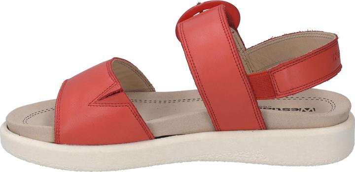 Actual product image Westland 25408-409 (42)