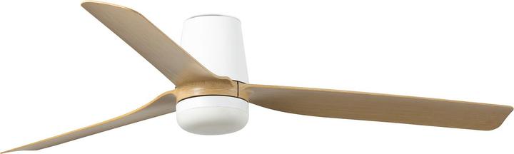 Maple, White