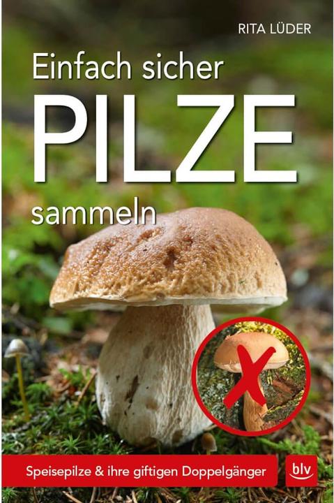 Einfach sicher Pilze sammeln (Deutsch, Rita Lüder, 2017)