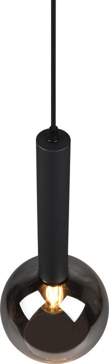 Actual product image Trio 310300132Suspension lamp black 'Clayton (E27)