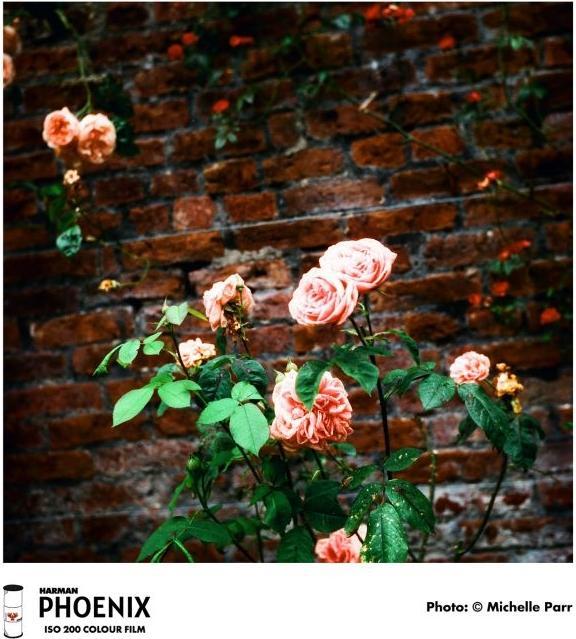 Produktbild Harman Photo PHOENIX 200 120