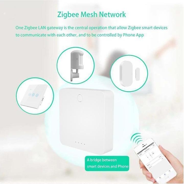 Actual product image Netplus NPLZJMWZG2 - Zigbee LAN Hub