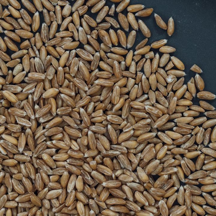 Actual product image Altbachmühle Organic whole spelt (1000 g)