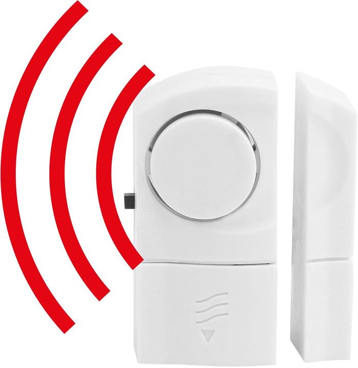Actual product image Olympia TF 400