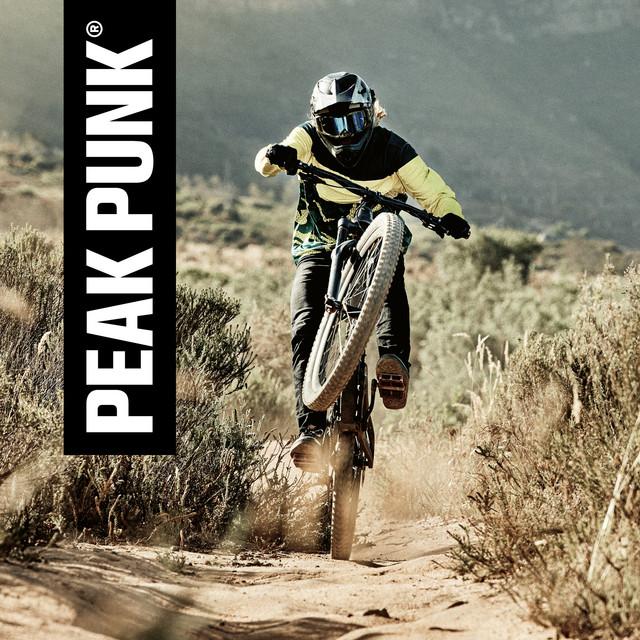 Produktbild Peak Punk Bio High Protein (12 Stk., 660 g)