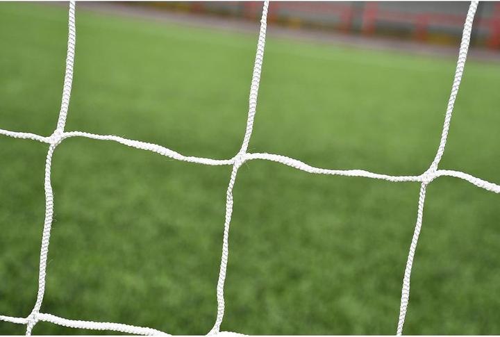 Actual product image Precision Flexi Net