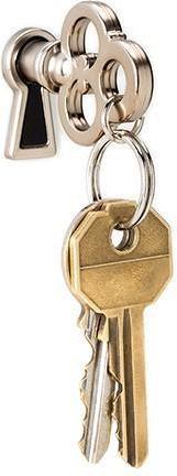 Actual product image Peleg Design Keychain - MagiKey
