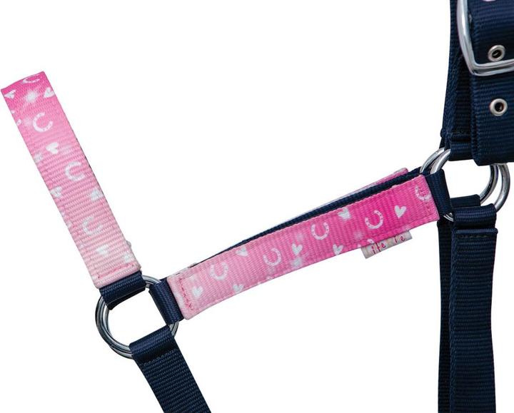 Produktbild Hy Equestrian Pferdehalfter und Führstrick Set Pony Fantasy