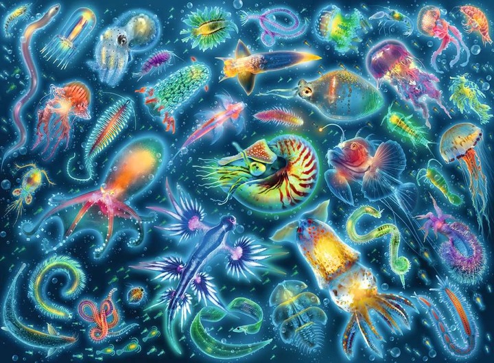 Immagine prodotto Ravensburger Meduse (500 pezzi)