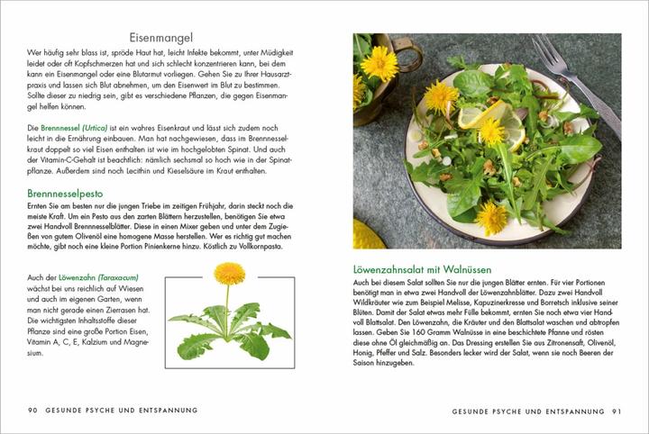 Actual product image Herbs and medicinal plants for women: Teas, tinctures and ointments from natural medicine itself (German, Larena Lambert, 2021)