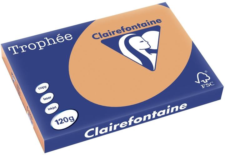 Chameau