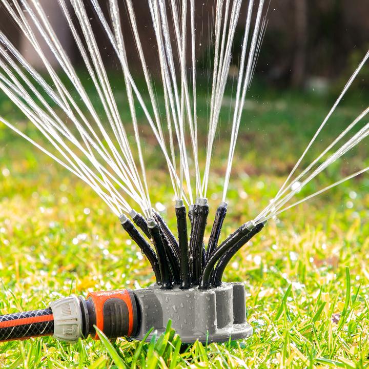 Actual product image InnovaGoods Water sprouts for the garden - 360º