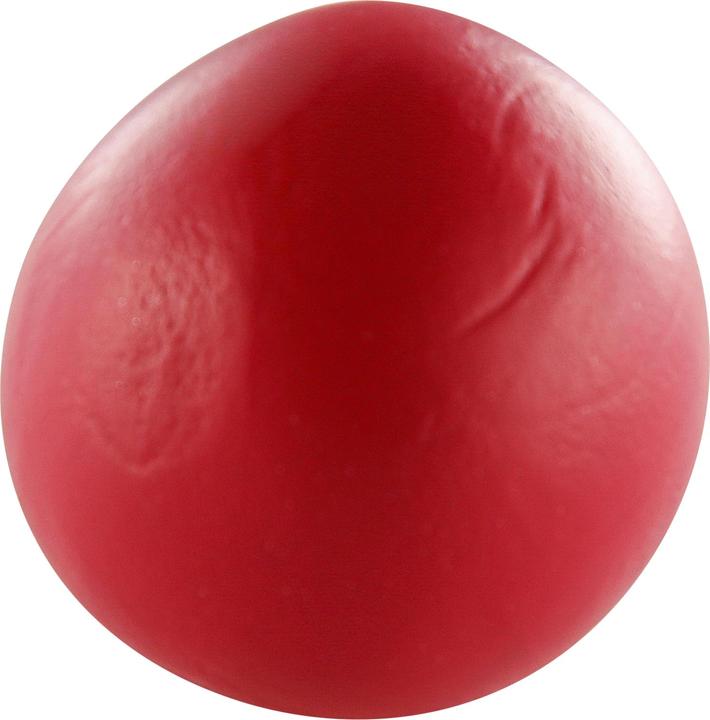 Actual product image Cernit N°1