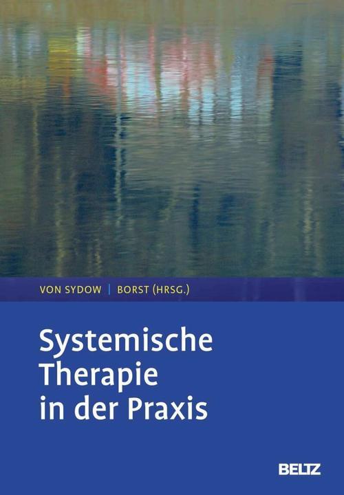 Produktbild Systemische Therapie in der Praxis (Deutsch, Kirsten von Sydow, Ulrike Borst, 2018)
