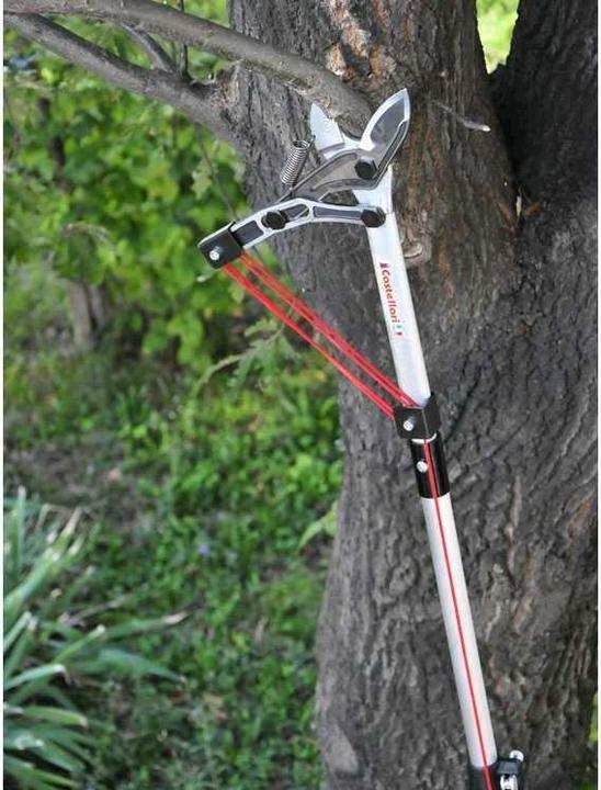 Produktbild Castellari Astschere