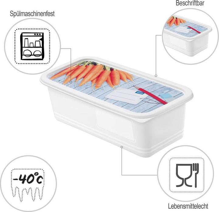 Actual product image Rotho Domino (1.20 l)