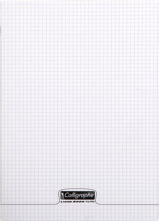 Immagine prodotto Clairefontaine Lega 8000 POLYPRO (A4)