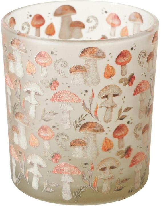 Boltze Home Boltze Windlicht Wilow Glas, 8 x 7.3 cm, Detailfarbe (1 x)