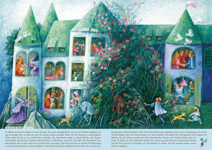 Actual product image My marvellous fairytale world hidden object book (cardboard picture book) (German)