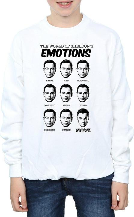 Produktbild Dam Sheldon Emotions Sweatshirt Jungen (140, 146)