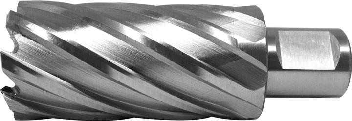 Immagine prodotto Paulimot HSS-Kernbohrer mit Bohrtiefe 55 mm, Ø 32 mm (32 mm)