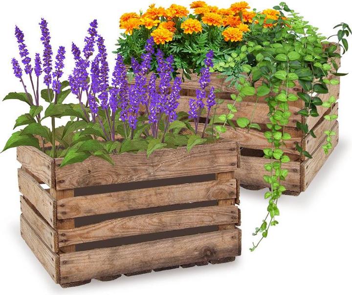 Image du produit Natura Punto Caisse décorative (41 x 50.5 x 31.5 cm)