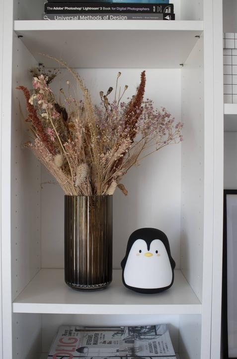 Produktbild Filibabba Pelle der Pinguin