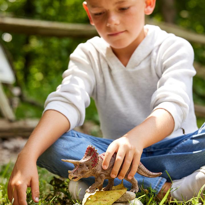 Actual product image Schleich Triceratops