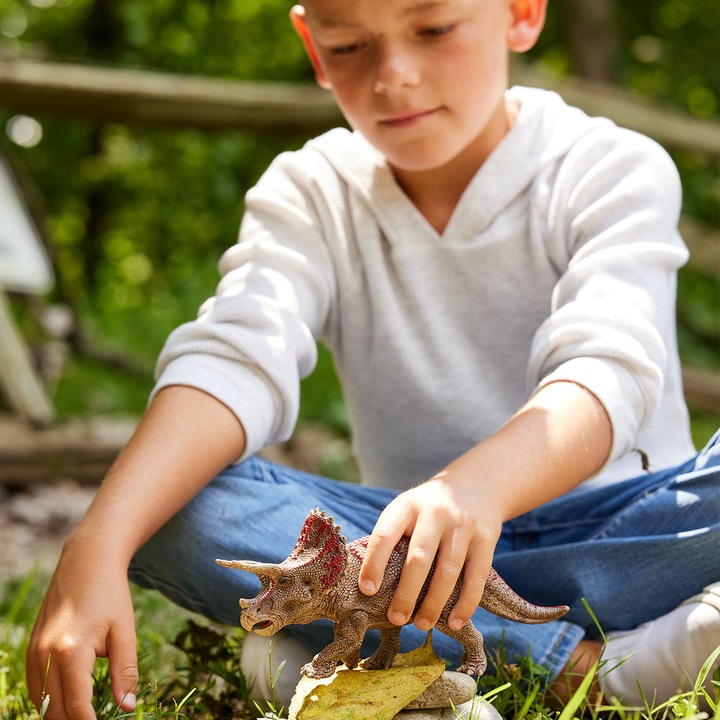 Immagine prodotto Schleich Triceratopo