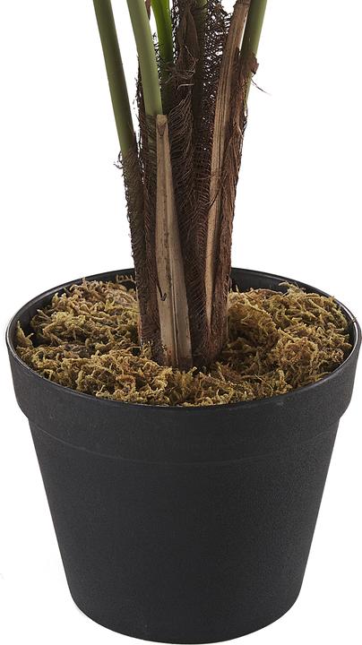 Immagine prodotto Beliani Dieffenbachia (122 cm)