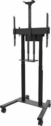 Image du produit Neomounts FL55-875BL1 (Universel, 100", 110 kg)