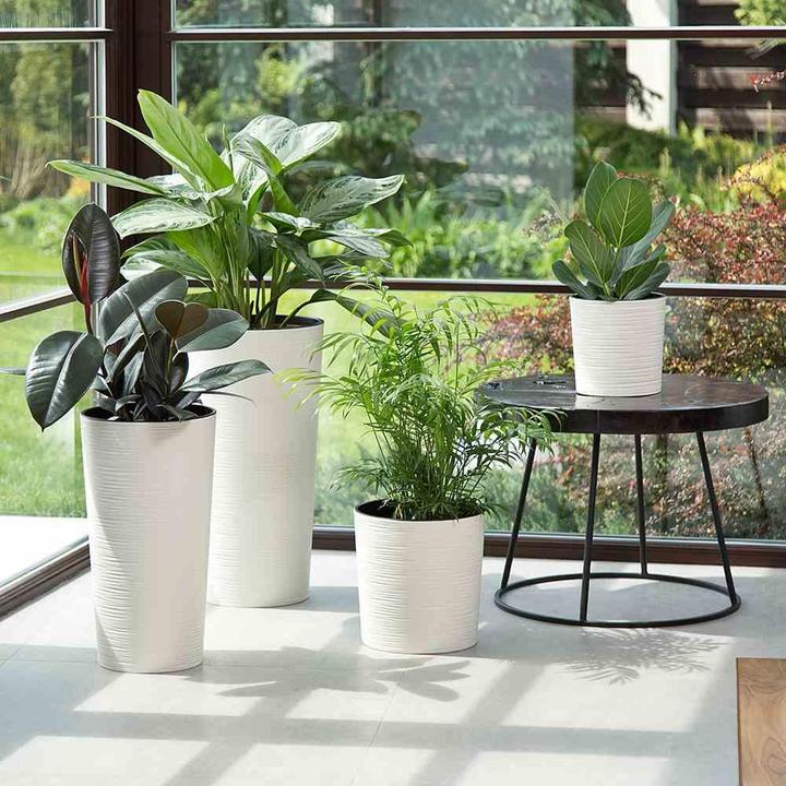 Actual product image Siena Garden Modern (25 x 46.50 cm)