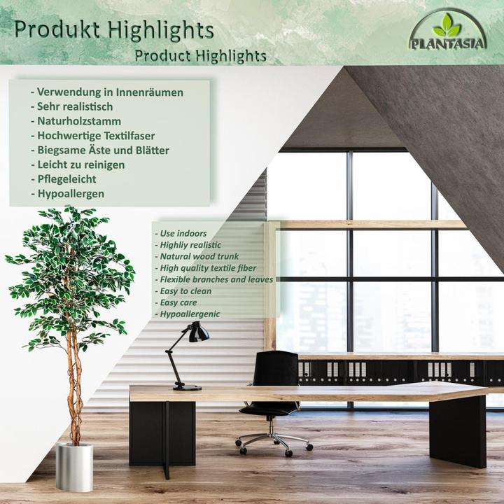 Immagine prodotto Plantasia Ficus Benjamin (190 cm)