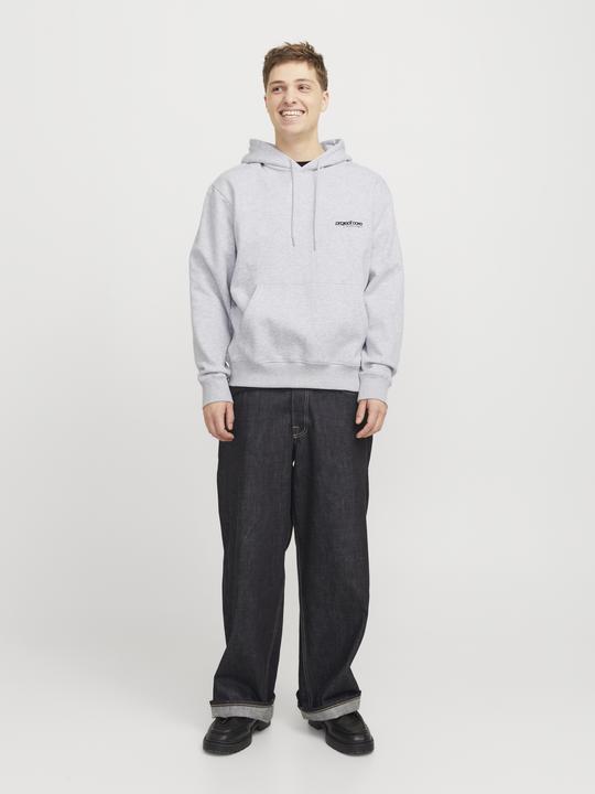 Actual product image Jack & Jones Jcounion Print Sweat Hood Noos (XS)
