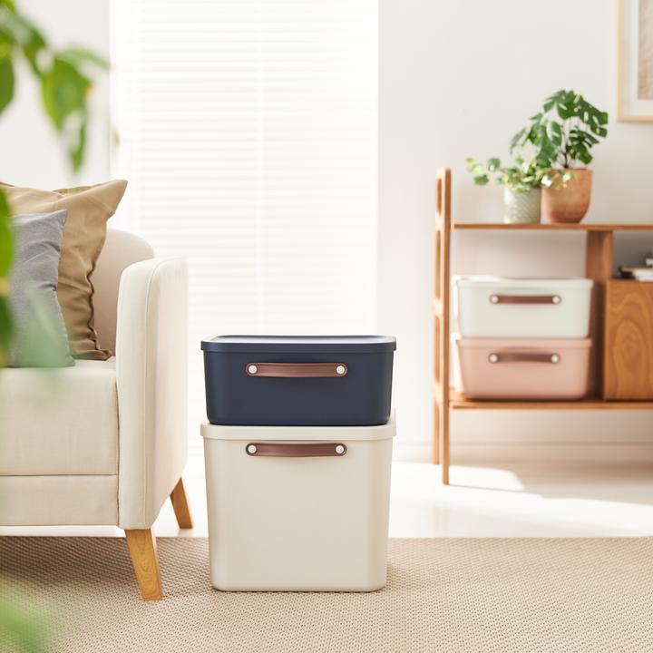 Actual product image Rotho Storage box (20 l)