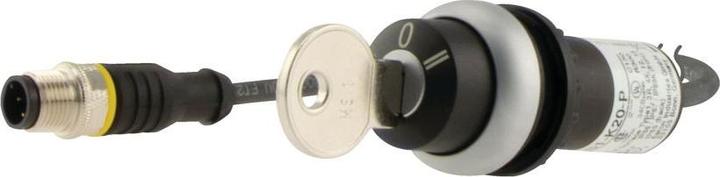 Actual product image Eaton C22-WRS3-MS1-K20-P1