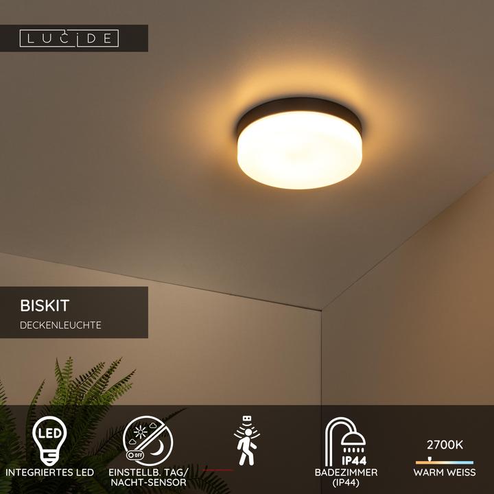 Image du produit Lucide Biskit (1150 lm)