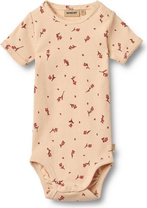 Produktbild Wheat 2 x Body S/S (86)